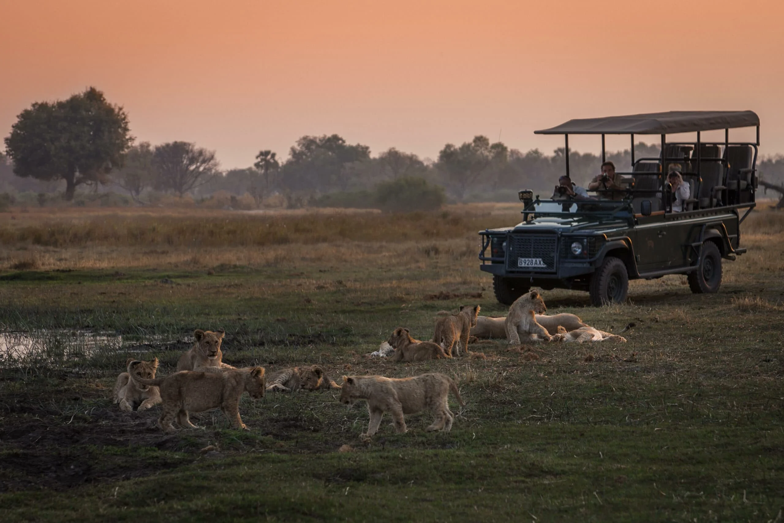 Timeless Africa Safaris image
