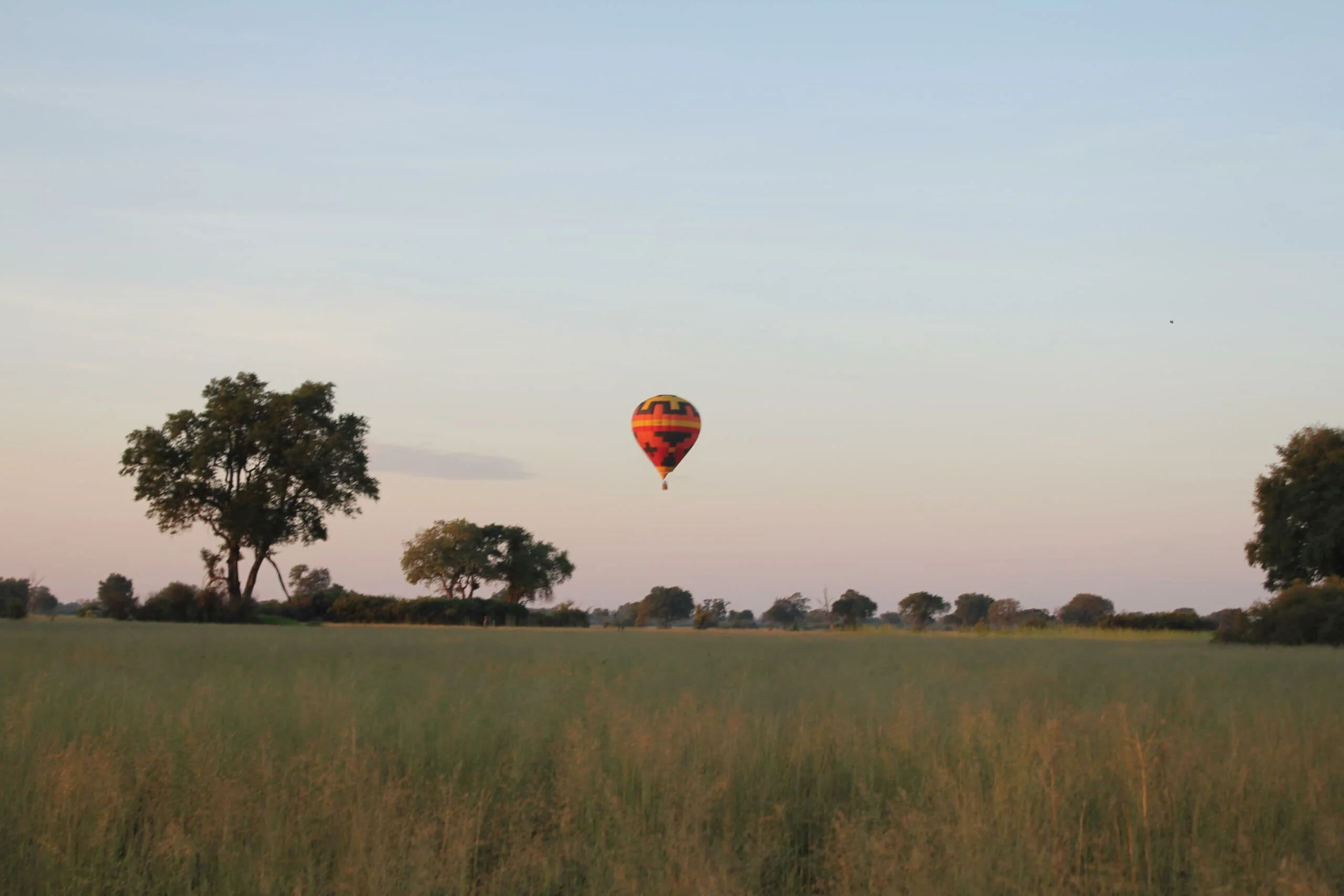 Timeless Africa Safaris image