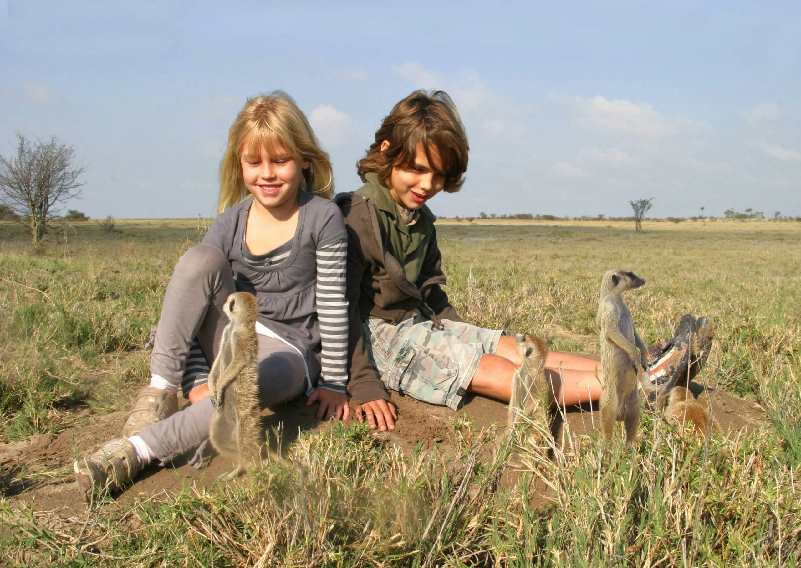 Timeless Africa Safaris image