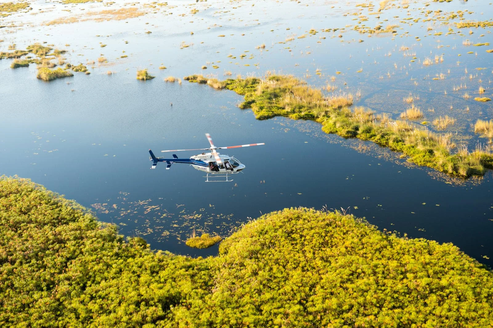 Timeless Africa Safaris image