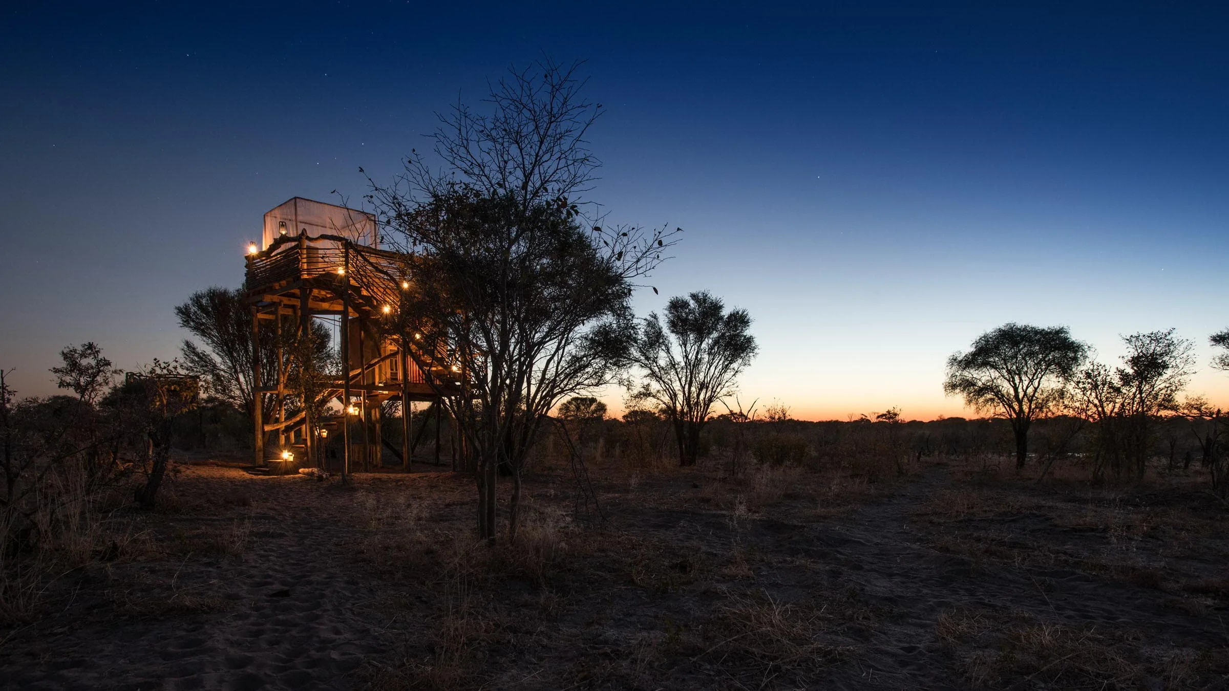 Timeless Africa Safaris image