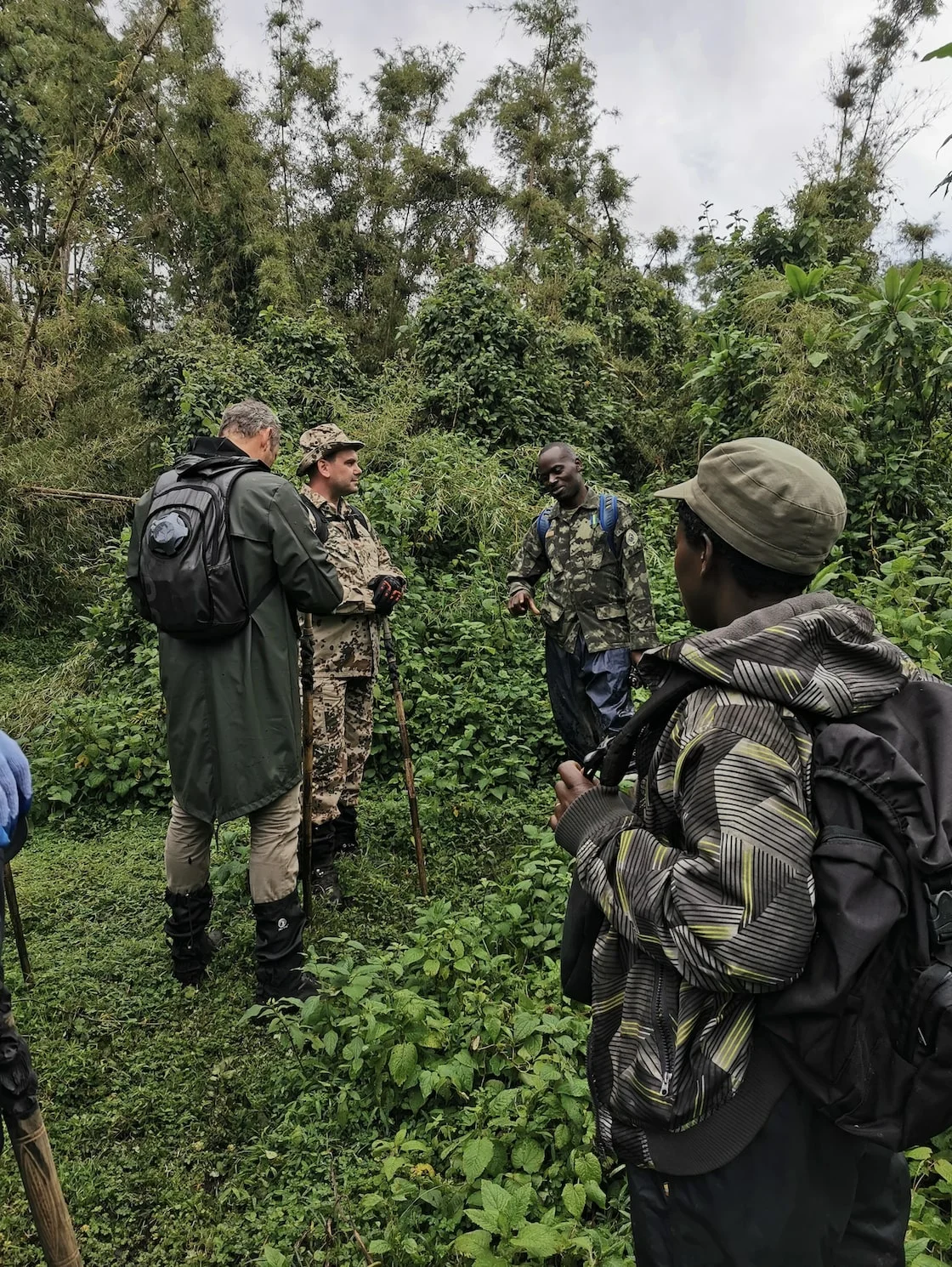 Hiking in Rwanda with a porter
