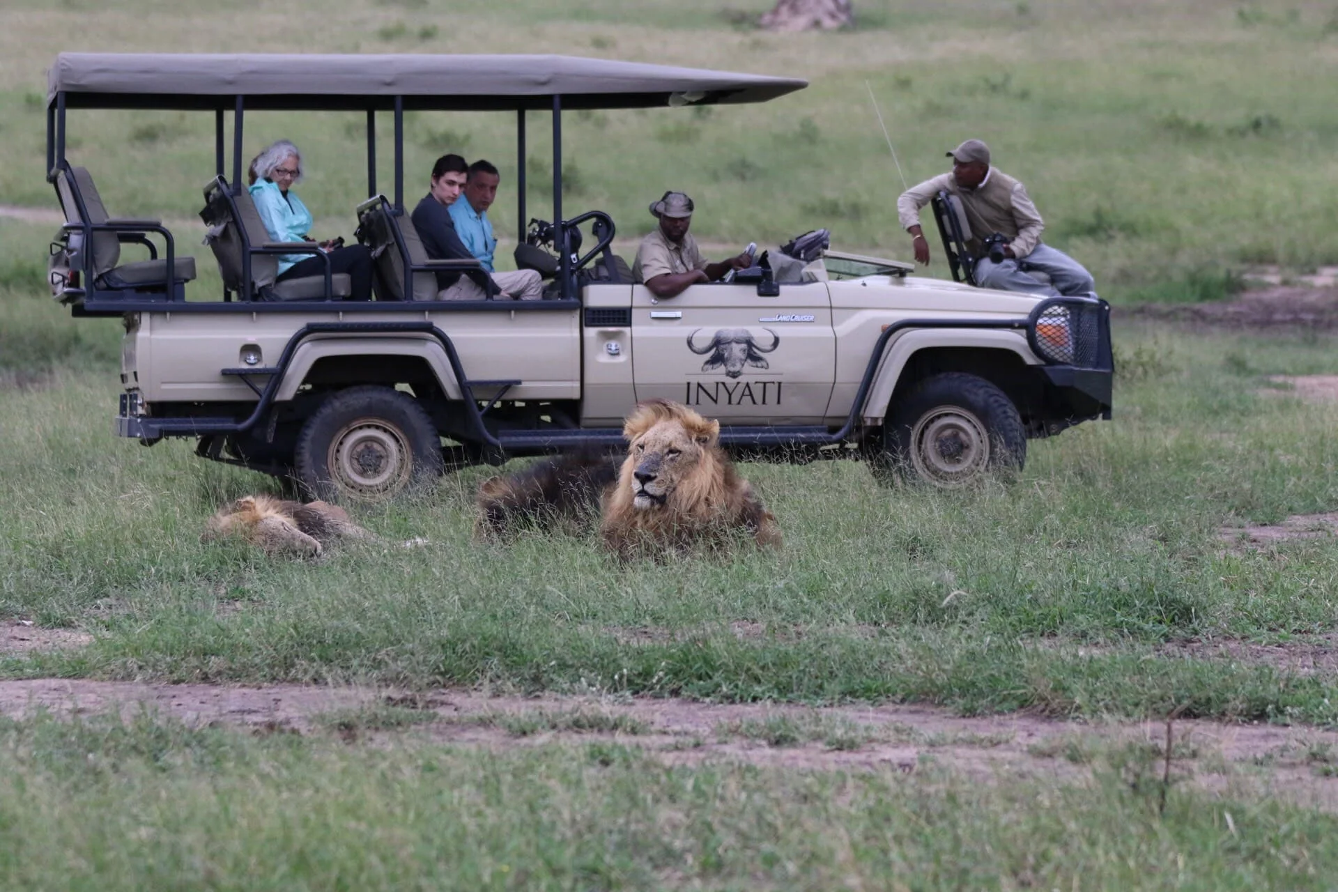 Timeless Africa Safaris image