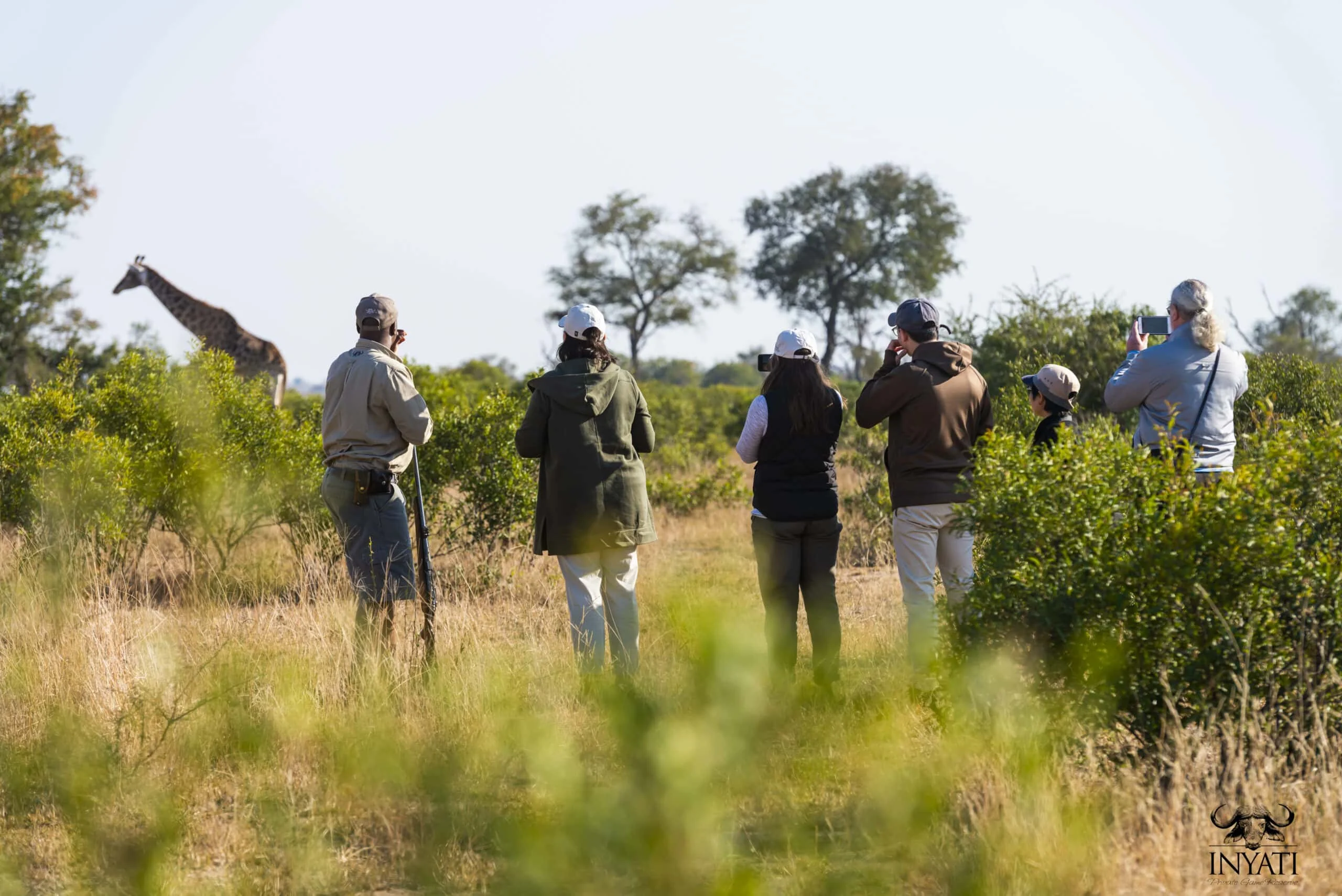 Timeless Africa Safaris image