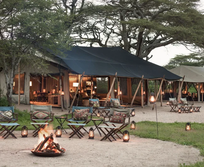Timeless Africa Safaris image