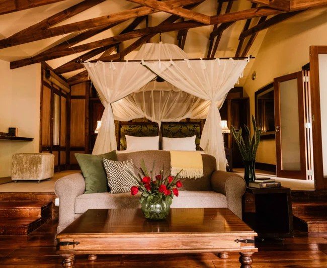 Timeless Africa Safaris image