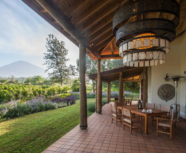 Timeless Africa Safaris image