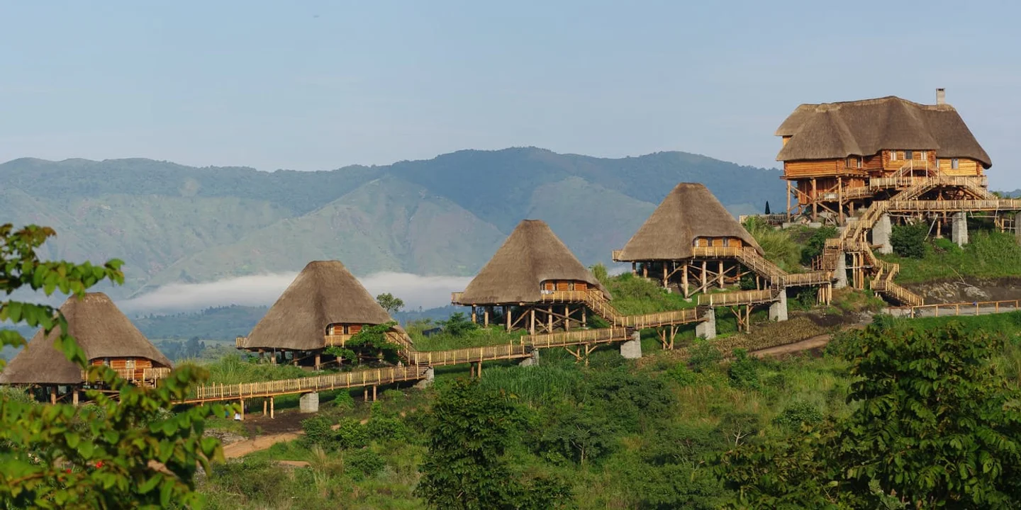 Timeless Africa Safaris image