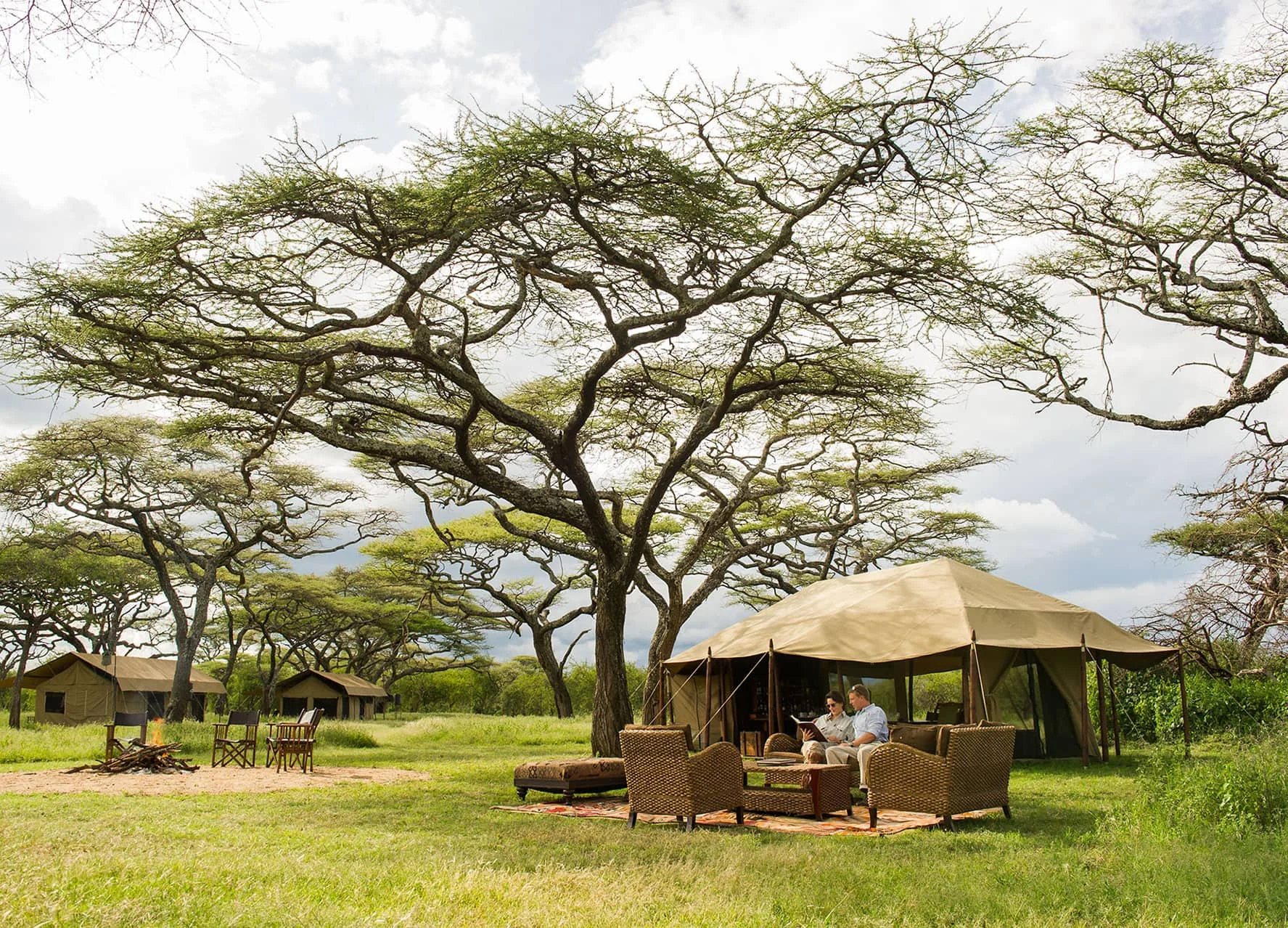 Timeless Africa Safaris image