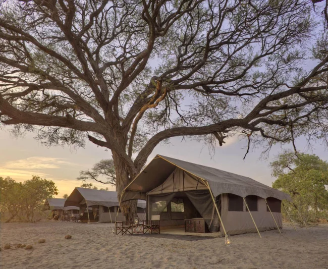Timeless Africa Safaris image