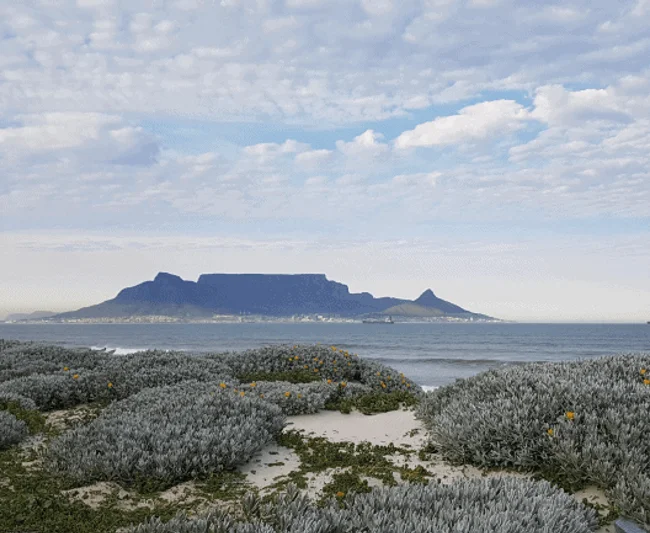 Timeless Africa Safaris image