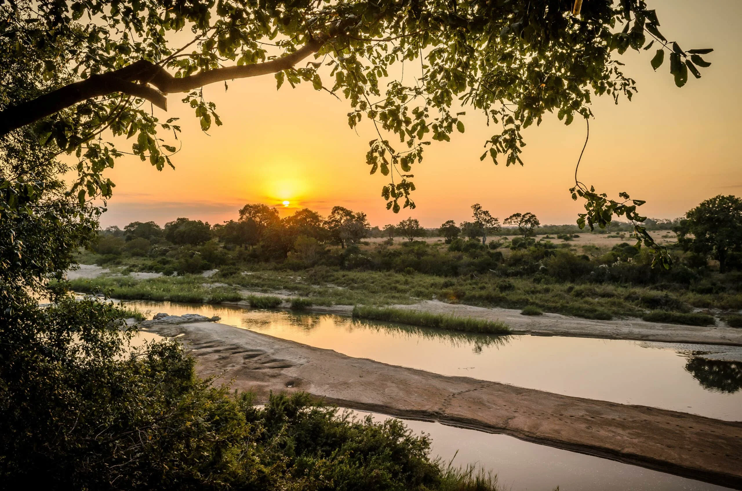 Timeless Africa Safaris image
