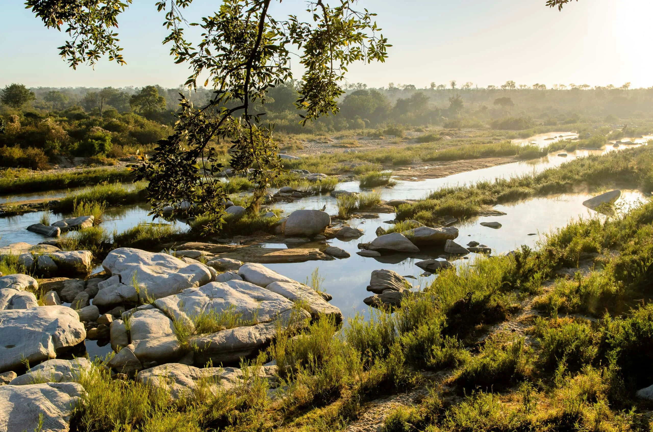 Timeless Africa Safaris image