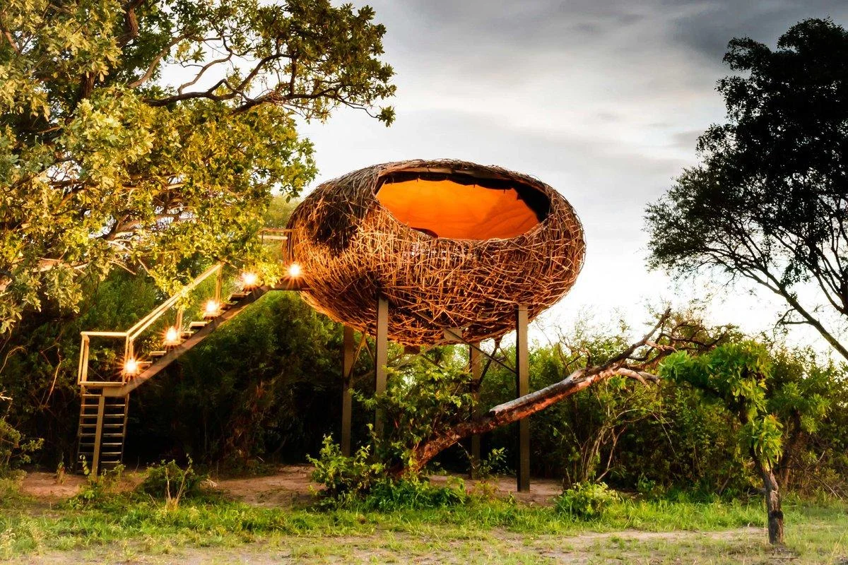 Timeless Africa Safaris image