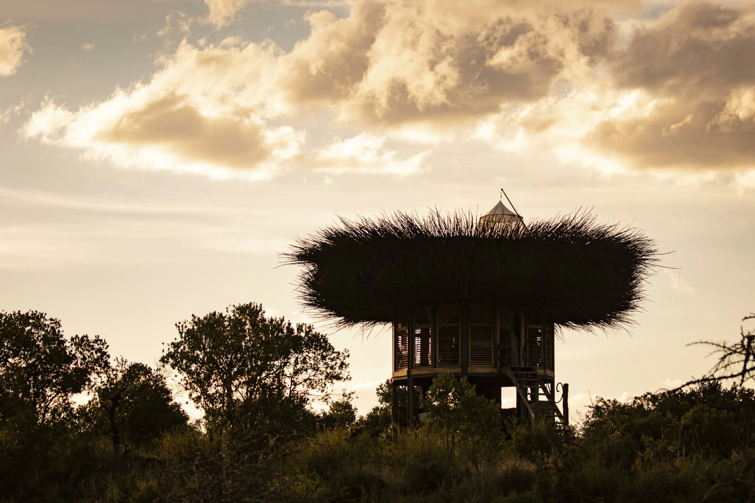 Timeless Africa Safaris image