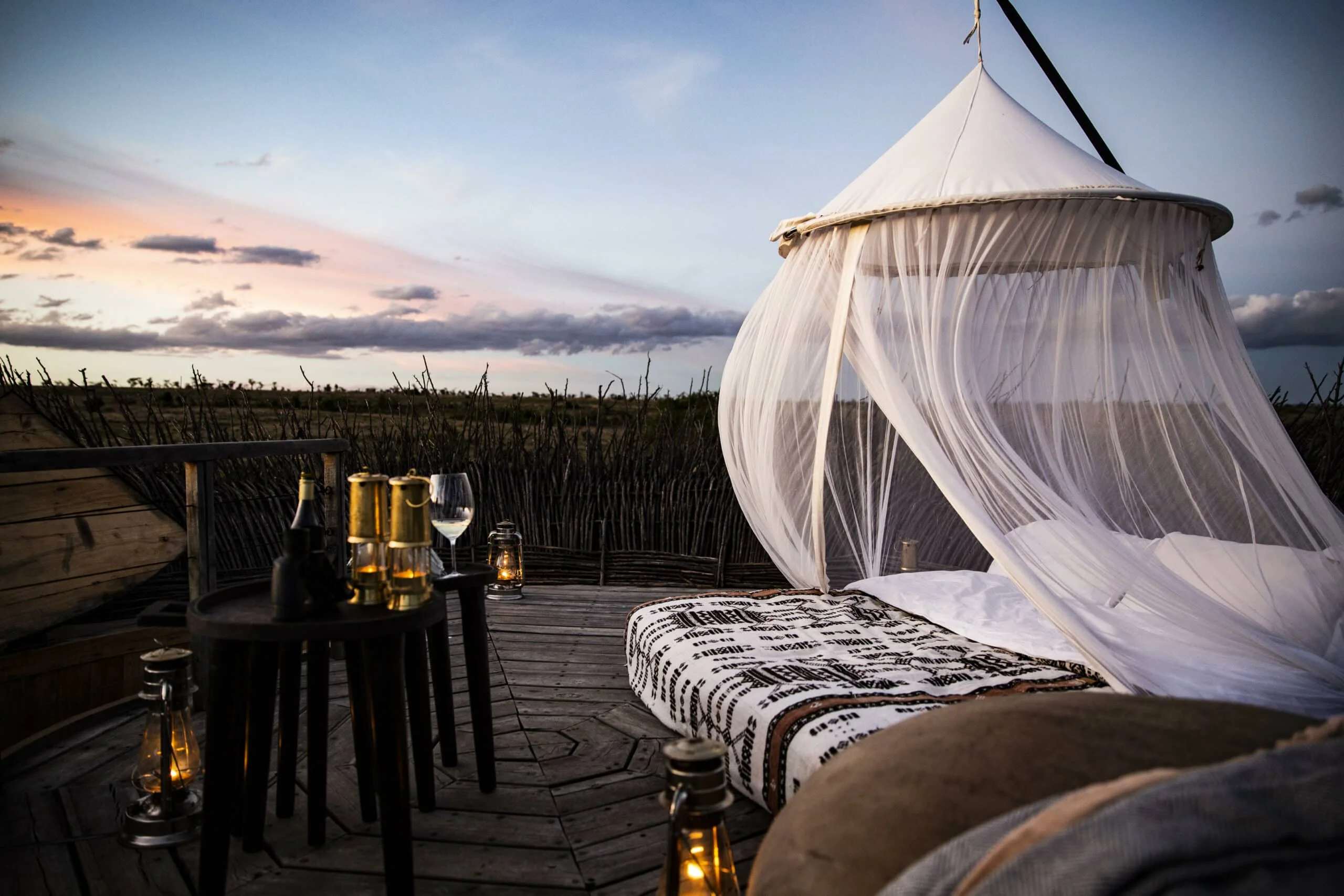 Timeless Africa Safaris image