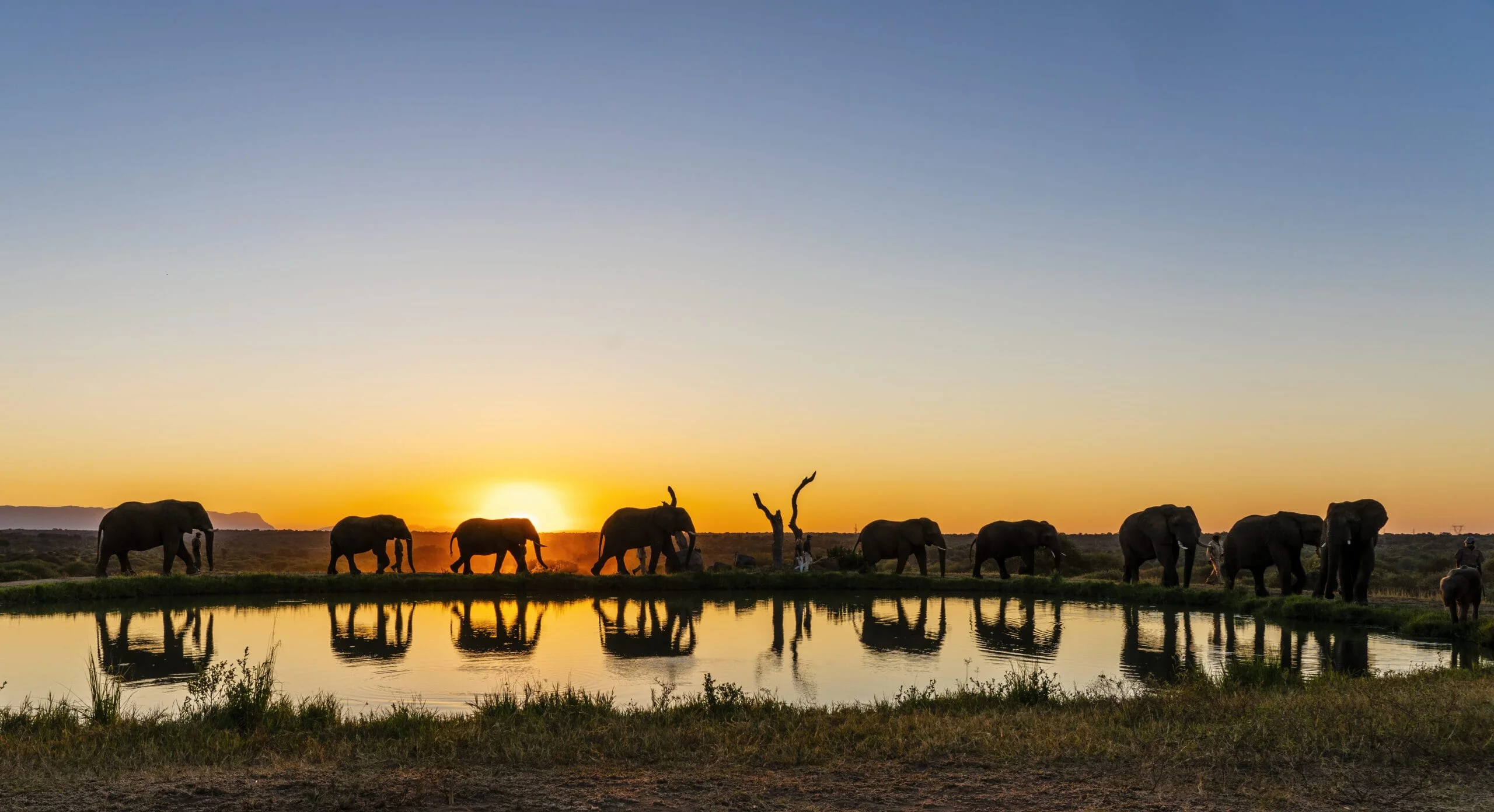 Timeless Africa Safaris image