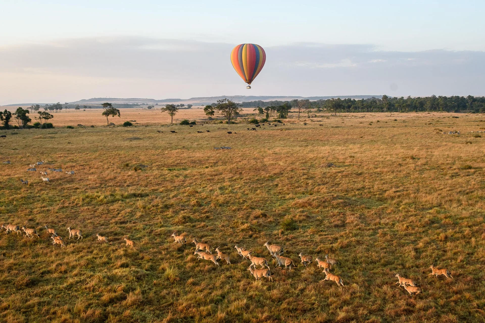 Timeless Africa Safaris image