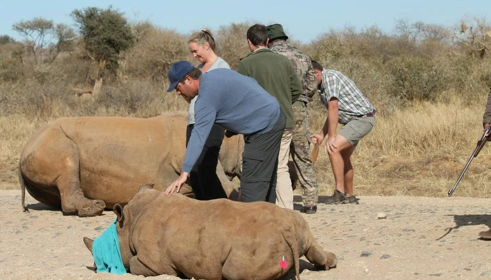 Timeless Africa Safaris image