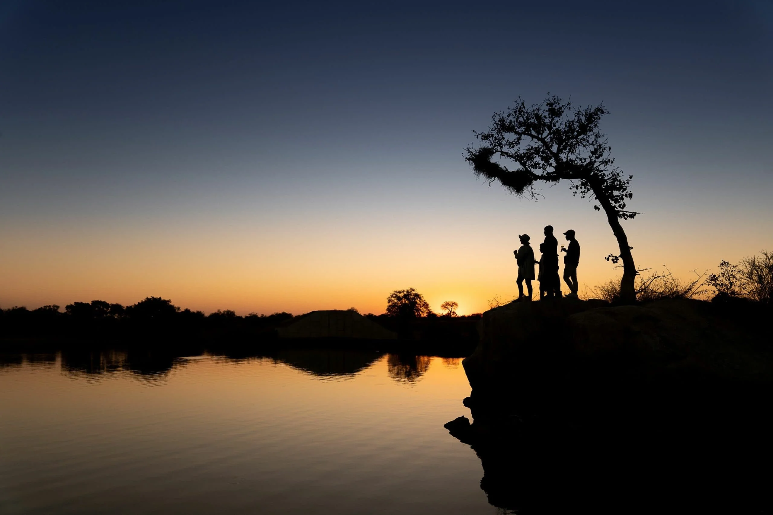 Timeless Africa Safaris image