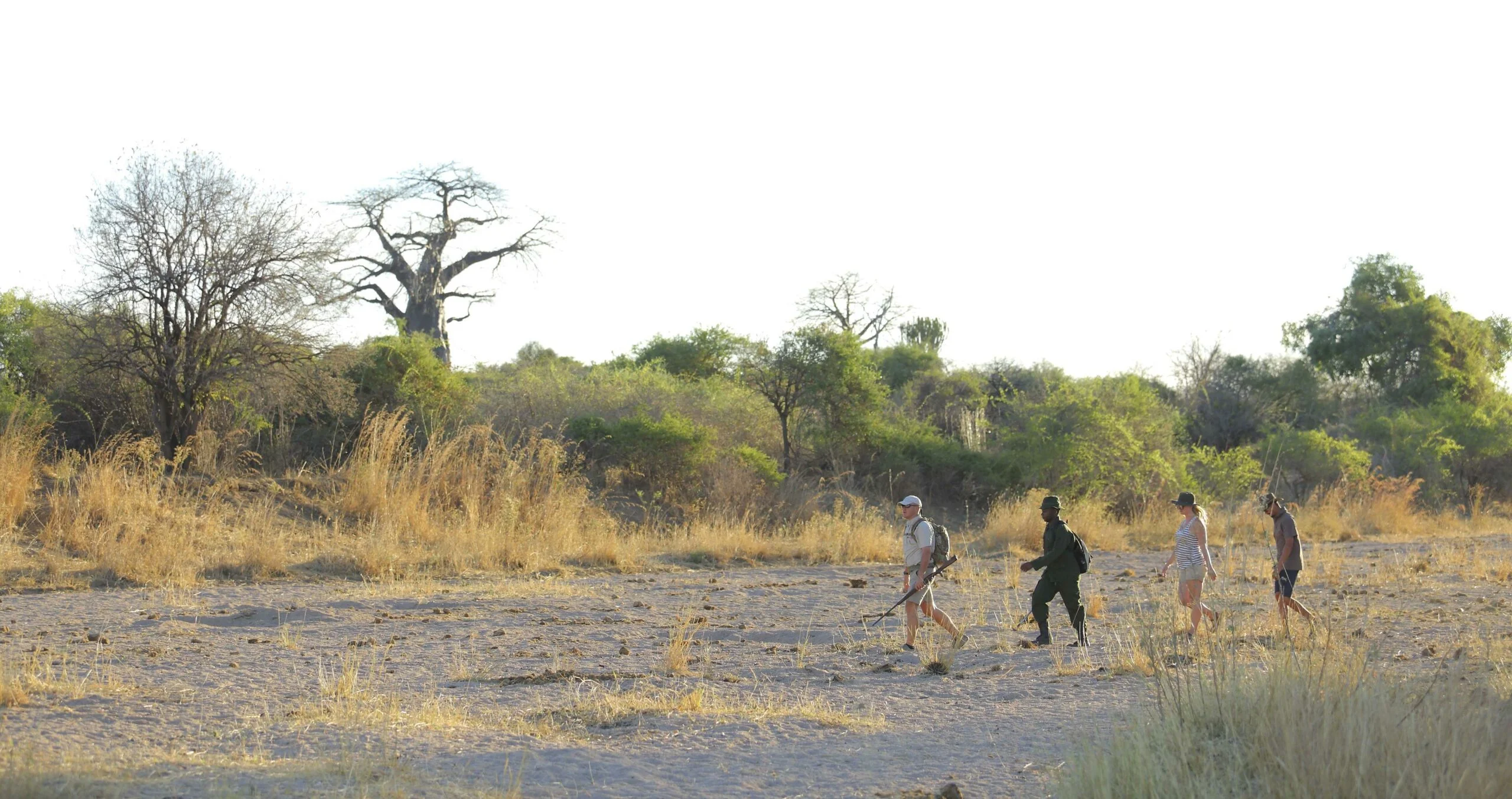 Timeless Africa Safaris image