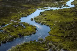 Channels of the Okavango Delta, Botswana