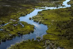 Channels of the Okavango Delta, Botswana