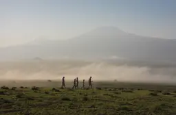 Tortilis Camp