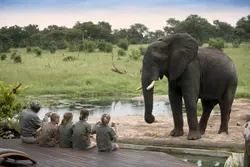 Children-close-encounters-with-elephants at Somalisa Acacia Camp