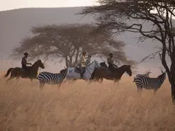 Horseback safari with the Great Plains conservation team at Ol Donyo Lodge
