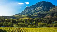 Franschhoek